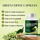 nutrafirst-green-coffee-bean-extract-cap-61c7tU5mmVL.jpg
