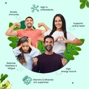 neuherbs-moringa-500mg-tablets-120-count-71X5BscWm1L.jpg