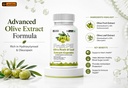 leewell-olive-fruit-extract-olive-leaves-61tI23m8nfL.jpg