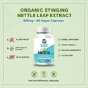 organic-stinging-nettle-leaf-extract-cap-61vNfhHML2L.jpg
