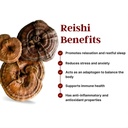 reishi-dried-pure-mushroom-powder-immuni-613UsnsHgmL.jpg