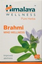 himalaya-wellness-brahmi-60-tablets-pack-61Oay7P8doL.jpg