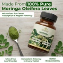 dharishah-ayurveda-organic-moringa-table-812ILVOB+lL.jpg