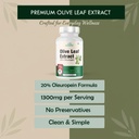 zespo-olive-leaf-extract-1300mg-pack-of--51xb-7EK13L.jpg