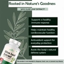 zespo-olive-leaf-extract-1300mg-pack-of--61udW6gHBjL.jpg