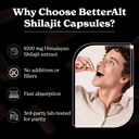 better-alt-shilajit-shilajeet-capsules-l-71KVLAcxYhL.jpg