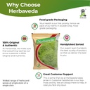 premium-alfalfa-leaf-powder-500g-100-pur-61U-RjWbgGL.jpg