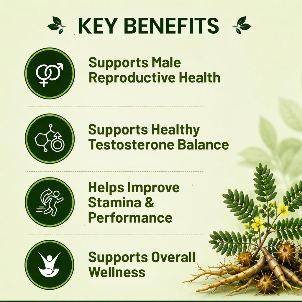 pure-nutrition-gokshura-supplements-raw--81CjEzNlXBL.jpg