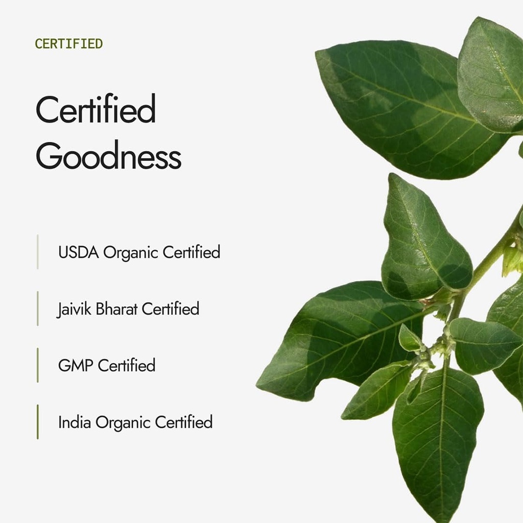 kapiva-certified-organic-moringa-powder--614fElIIf6L.jpg