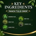 tulsi-drops-natural-5-types-of-holy-basi-81AWt1e36nL.jpg