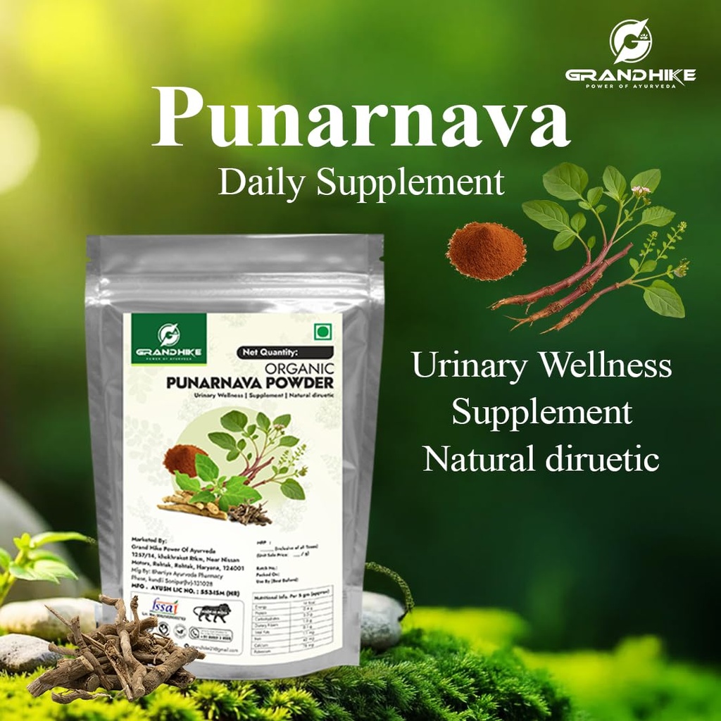 grandhike-organic-punarnava-powder-churn-61TyFNsE8rL.jpg