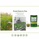 kuno-herbal-moringa-powder-150g-natural--61rUNzf2qeL.jpg