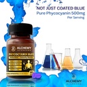 blue-spirulina-extract-phycocyanin-500mg-81XVei1Tj8L.jpg