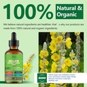 4-in-1-mullein-drops-for-lungs-organic-m-6.jpg