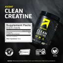 ascent-clean-creatine-monohydrate-creapu-81ye2htjLoL.jpg