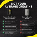 ascent-clean-creatine-monohydrate-creapu-915IeNNcx7L.jpg