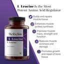 l-leucine-1000-mg-support-muscle-health--81M3AkNK0mL.jpg