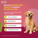 inlife-collagen-peptides-supplement-dogs-81g+d8JYUkL.jpg