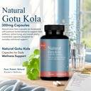 gotu-kola-herbal-supplement-60-veg-capsu-610g1r8q1bL.jpg