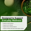 spirulina-chlorella-capsules-500mg-dual--81ikSkQwmKL.jpg