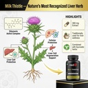 redo-milk-thistle-herbal-extracts-suppor-71vrVb3MepL.jpg