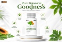 leewell-carica-papaya-leaf-fruit-extract-61jdQxMf+0L.jpg