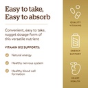 solgar-vitamin-b12-1000-mcg-250-nuggets--71dYyHAS+2L.jpg
