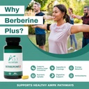 berberine-plus-with-bitter-melon-banaba--71DpHGqSIKL.jpg