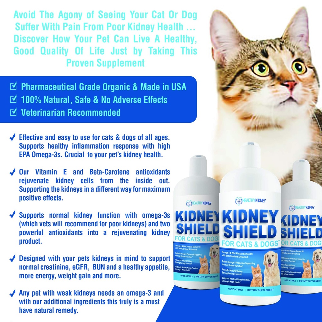 dog-and-cat-kidney-support-canine-feline-81ZKmmBERZL.jpg