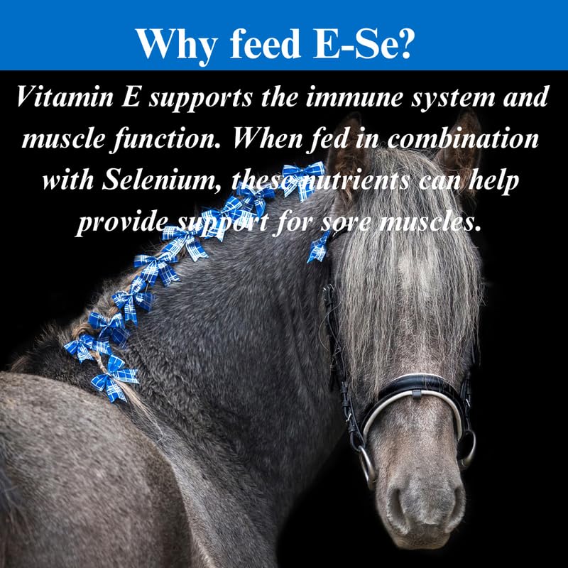 su-per-e-se-horses-antioxidant-supplemen-61SnIXk95wL.jpg