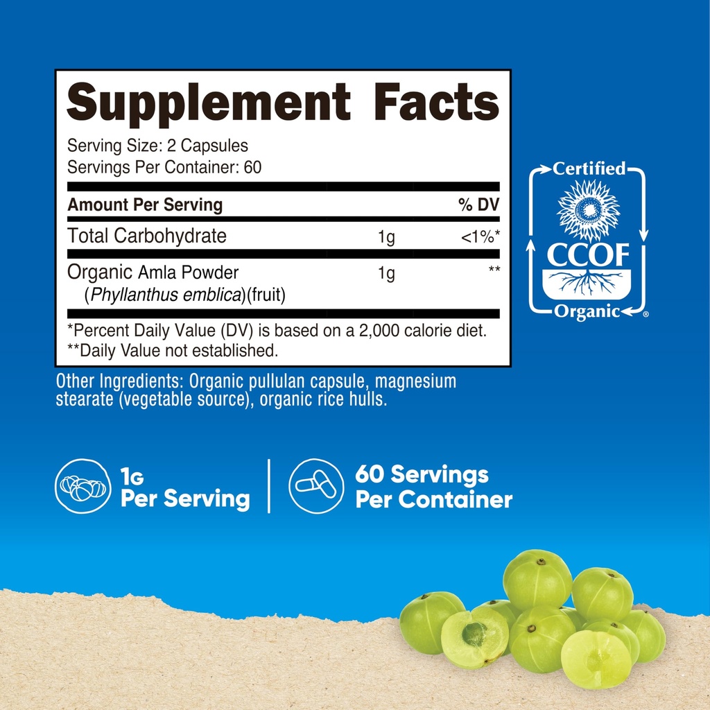 nutricost-amla-1000mg-120-vegetarian-cap-81RQNHDRu-L.jpg