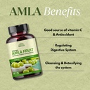 amla-capsules-phyllanthus-emblica-amalak-71ouZaLCYIL.jpg