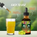 amla-indian-gooseberry-liquid-extract-dr-71m6+RhS6DL.jpg
