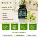 herbpy-7in1-amla-superfruit-extract-supp-81w8HEOmM+L.jpg