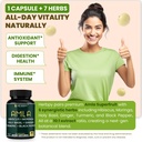 herbpy-7in1-amla-superfruit-extract-supp-8128-XjR3VL.jpg
