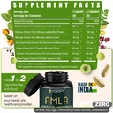 herbpy-7in1-amla-superfruit-extract-supp-81EBU13HcEL.jpg