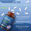 nature-target-magnesium-glycinate-500-mg-71y8Xa7SPIL.jpg