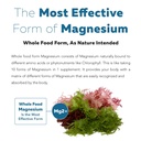 organic-whole-food-magnesium-supplement--71nhhfzb3dL.jpg