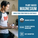 organic-whole-food-magnesium-supplement--71WWPB695bL.jpg
