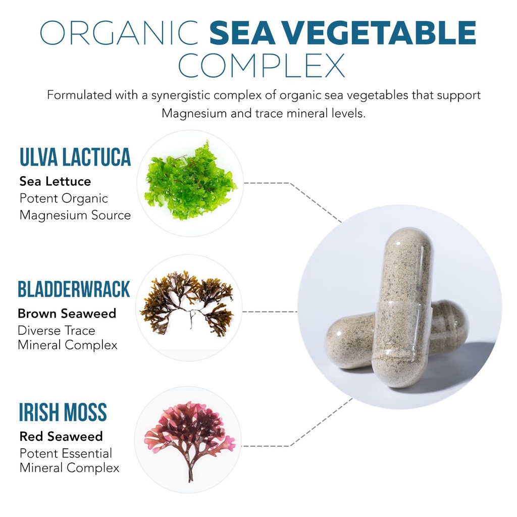 organic-whole-food-magnesium-supplement--713aimATJlL.jpg