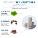 organic-whole-food-magnesium-supplement--713aimATJlL.jpg