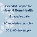 life-extension-extend-release-magnesium--71GPoM+sRBL.jpg