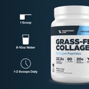 transparent-labs-grass-fed-collagen-pept-51xCR6W3WyL.jpg