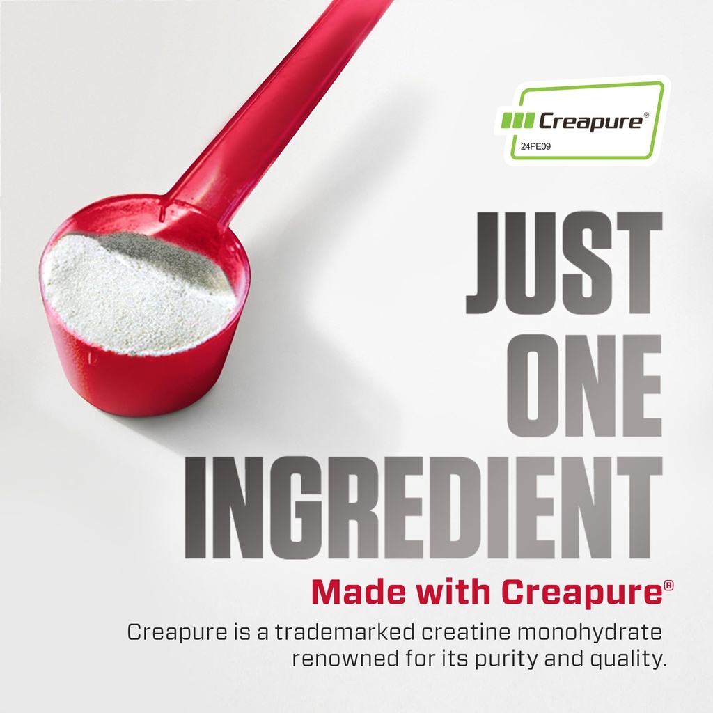 dymatize-creatine-monohydrate-powder-wit-71irGXXyqdL.jpg