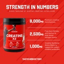 six-star-creatine-monohydrate-powder-x3--81kQw7bfv1L.jpg