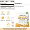 creatine-monohydrate-micronized-powder-1-7166sERiWrL.jpg