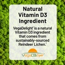 naturewise-vegan-vitamin-d3-5000iu-suppl-91e0YUVogXL.jpg