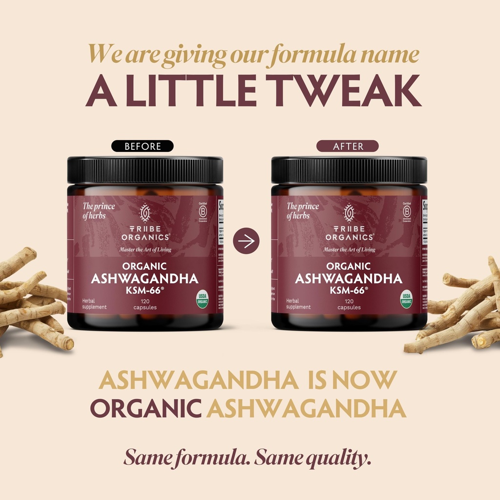 tribe-organics-ashwagandha-ksm-66-organi-8196eu4WvJL.jpg