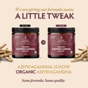 tribe-organics-ashwagandha-ksm-66-organi-8196eu4WvJL.jpg