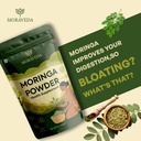 moringa-powder-250g-100-pure-natural-mor-819JiWCy1QL.jpg